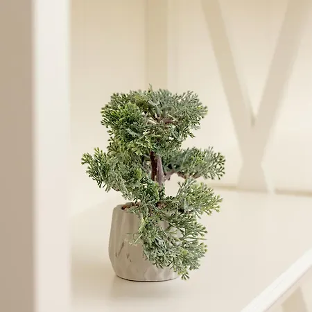 Apartment Elegancki Z Tarasem I Ogrodem W Sopocie By Rent Like